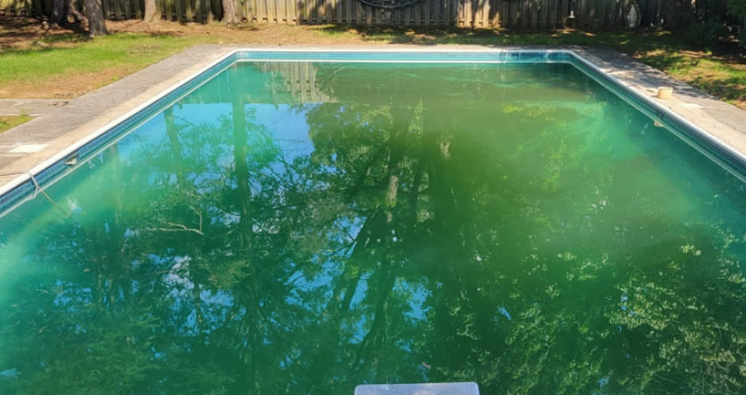Green, algae-filled pool before Panda Pool Services cleaned it