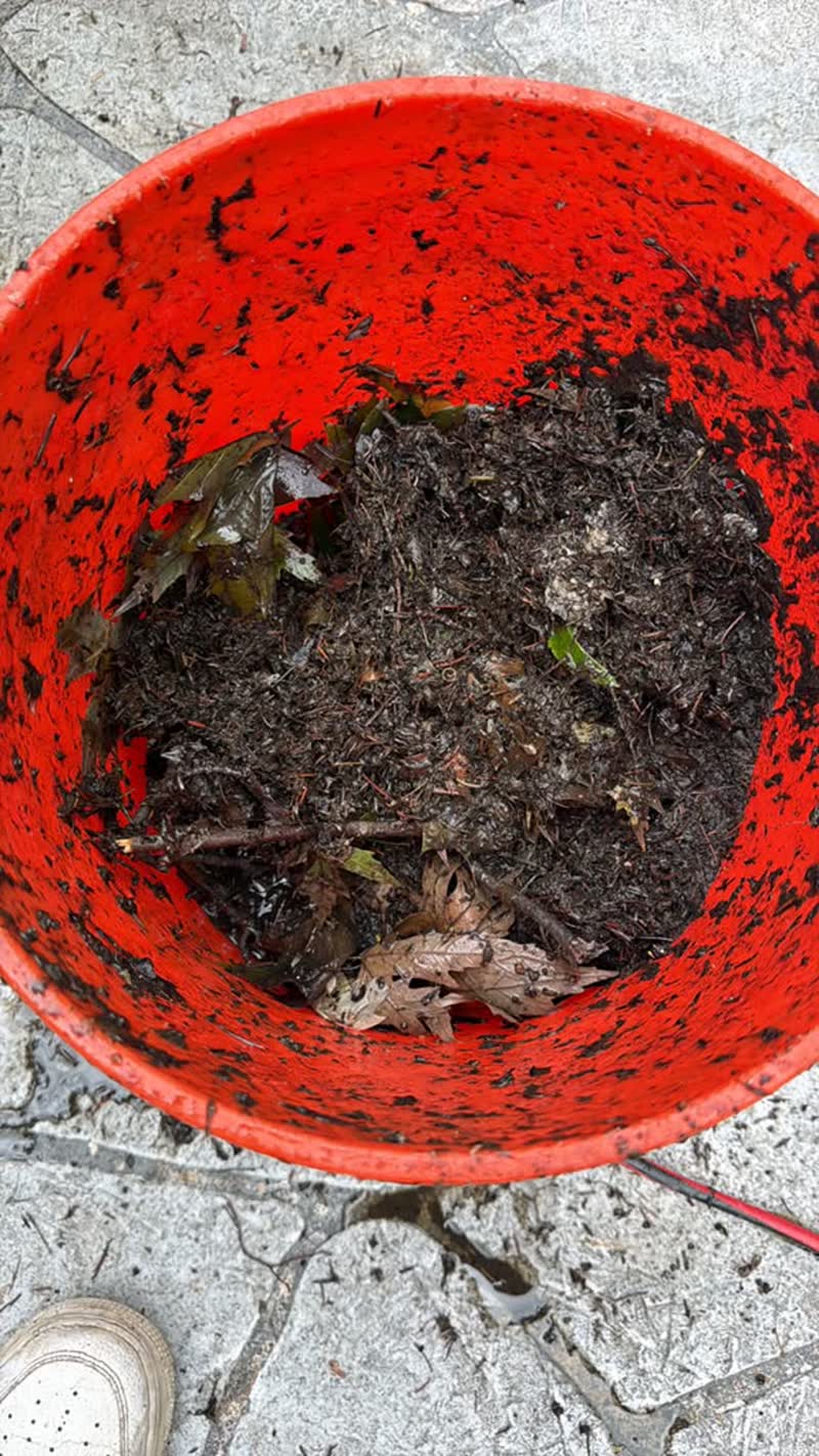 Bucket full of leaves and sludge vacuumed out of the pool